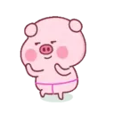 Pink Pig 22