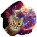 Cats Space 5