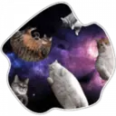 Cats Space 7
