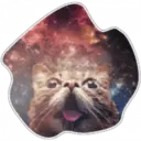 Cats Space 13