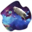 Cats Space 18