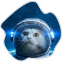 Cats Space 21