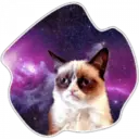 Cats Space 11