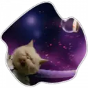 Cats Space 24