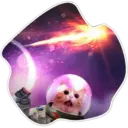 Cats Space 25