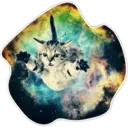 Cats Space 9
