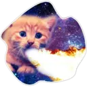 Cats Space 6