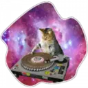 Cats Space 15