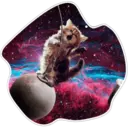 Cats Space 17