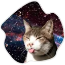 Cats Space 2