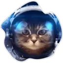 Cats Space 14