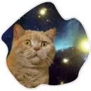 Cats Space 10