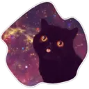 Cats Space 4