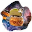Cats Space 12