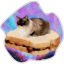 Cats Space 19