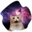 Cats Space 1
