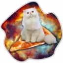 Cats Space 22