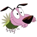 58