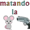 D todo 1 poco 24