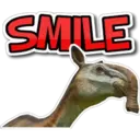 SMILE