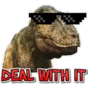 DEAL WITH IT