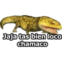 Jaja tas bien loco
chamaco