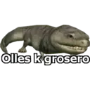Olles k grosero