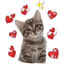 Gatito lindos 9