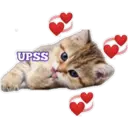 Gatito lindos 3