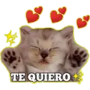 Gatito lindos 10