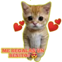 Gatito lindos 2