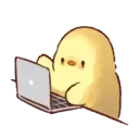 Pollito Kawaii Mov. 17
