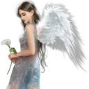 Hadas 16