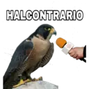 HALCONTRARIO