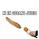 NI EN GUSANO JUICIO