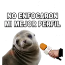 NO ENFOCARON MI MEJOR PERFIL