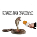 HORA DE COBRAR