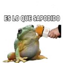 ES LO QUE SAPODIDO