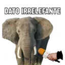 DATO IRRELEFANTE