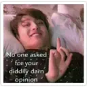 Big Hir
No one asked
for your
diddily darn
opinion