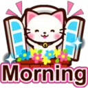 Morning