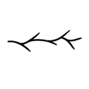 मिश्रित बिल्लियों 16