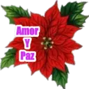 Navidad 26