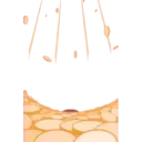 Jumbooka 17