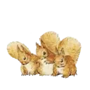 Peter Rabbit 5