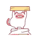 Jamese cat 8
