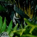 Dinosaurs 26