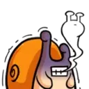 Caracol bebê 21