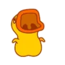 Yellow duckling 12