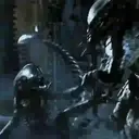 Aliens Vs Predator 9